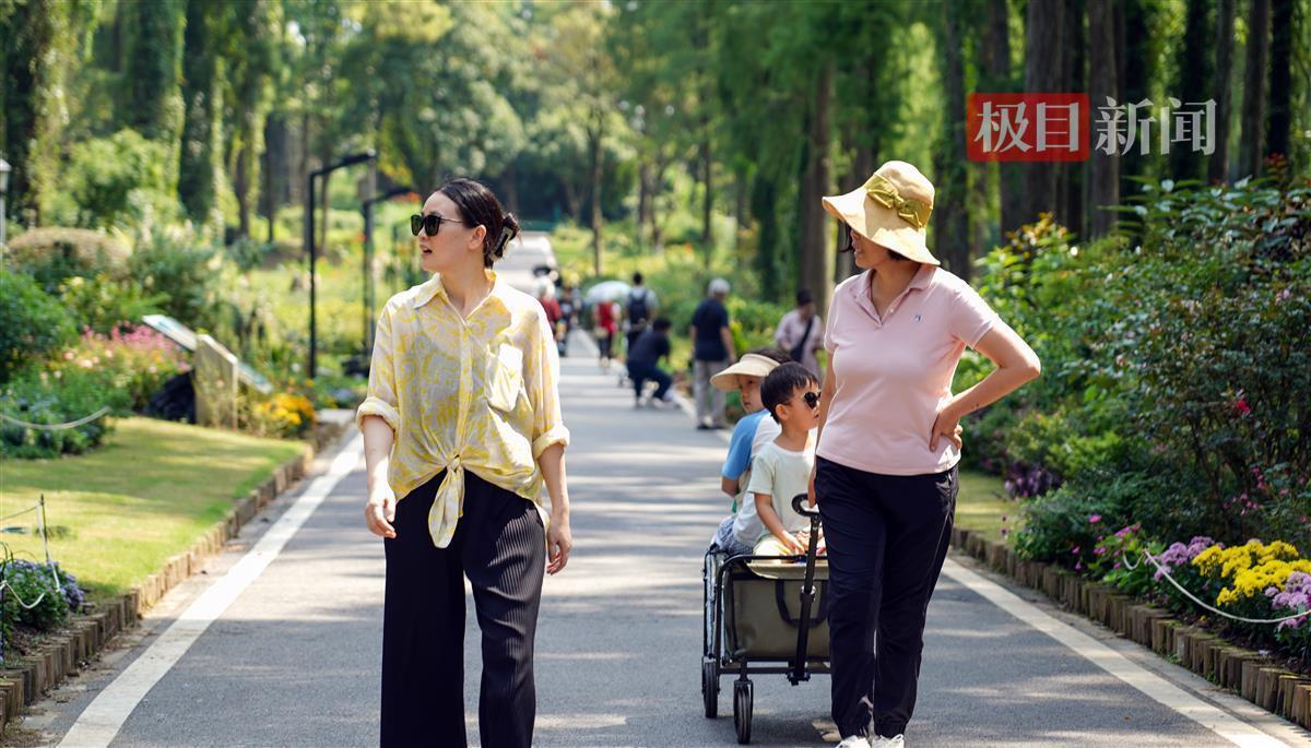 金币换现金手机游戏